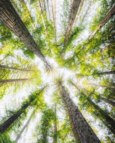 Images for Nikon magazine