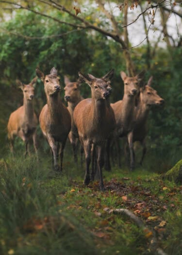 Nikon magazine - The Set Up